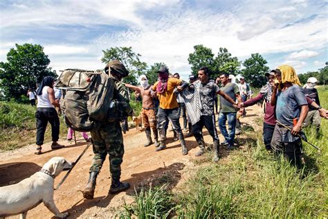 Het Proceso de Paz in Colombia: Een Verzoening met het Verleden en een Duik in de Toekomst