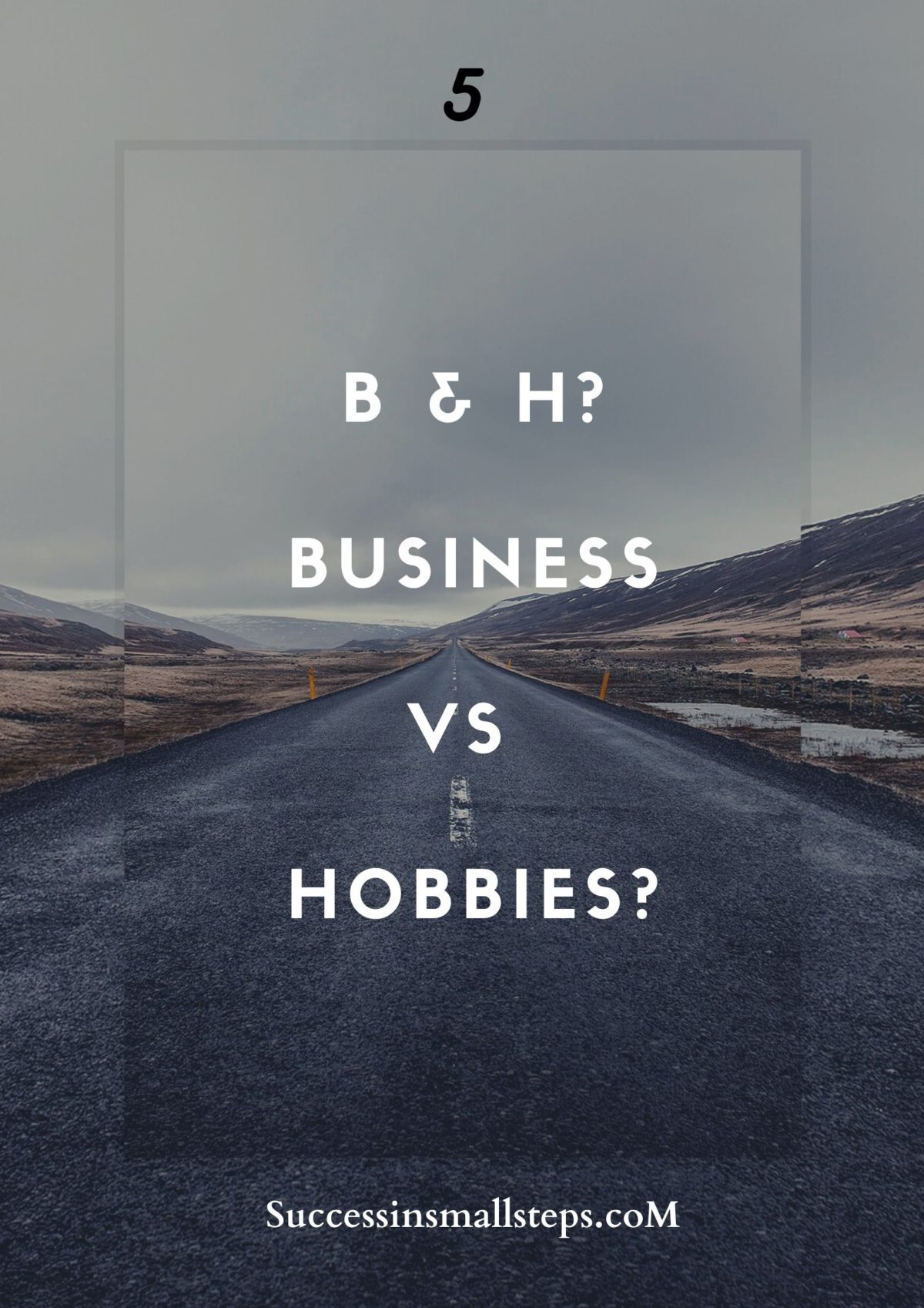 Niche: Business vs Hobbies